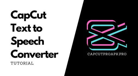 CapCut Text to Speech Converter